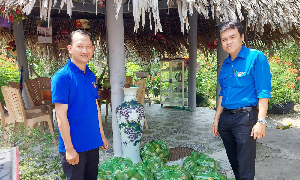 Đoàn trường Cao đẳng Y tế Trà Vinh hỗ trợ tiêu thụ nông sản tại xã Thông Hòa, huyện Cầu Kè